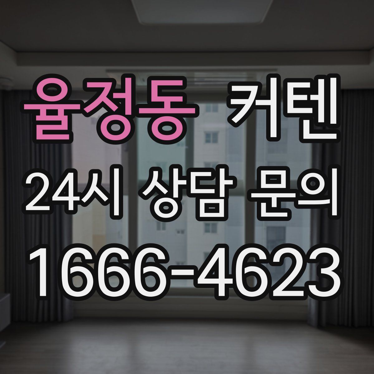 율정동 커텐