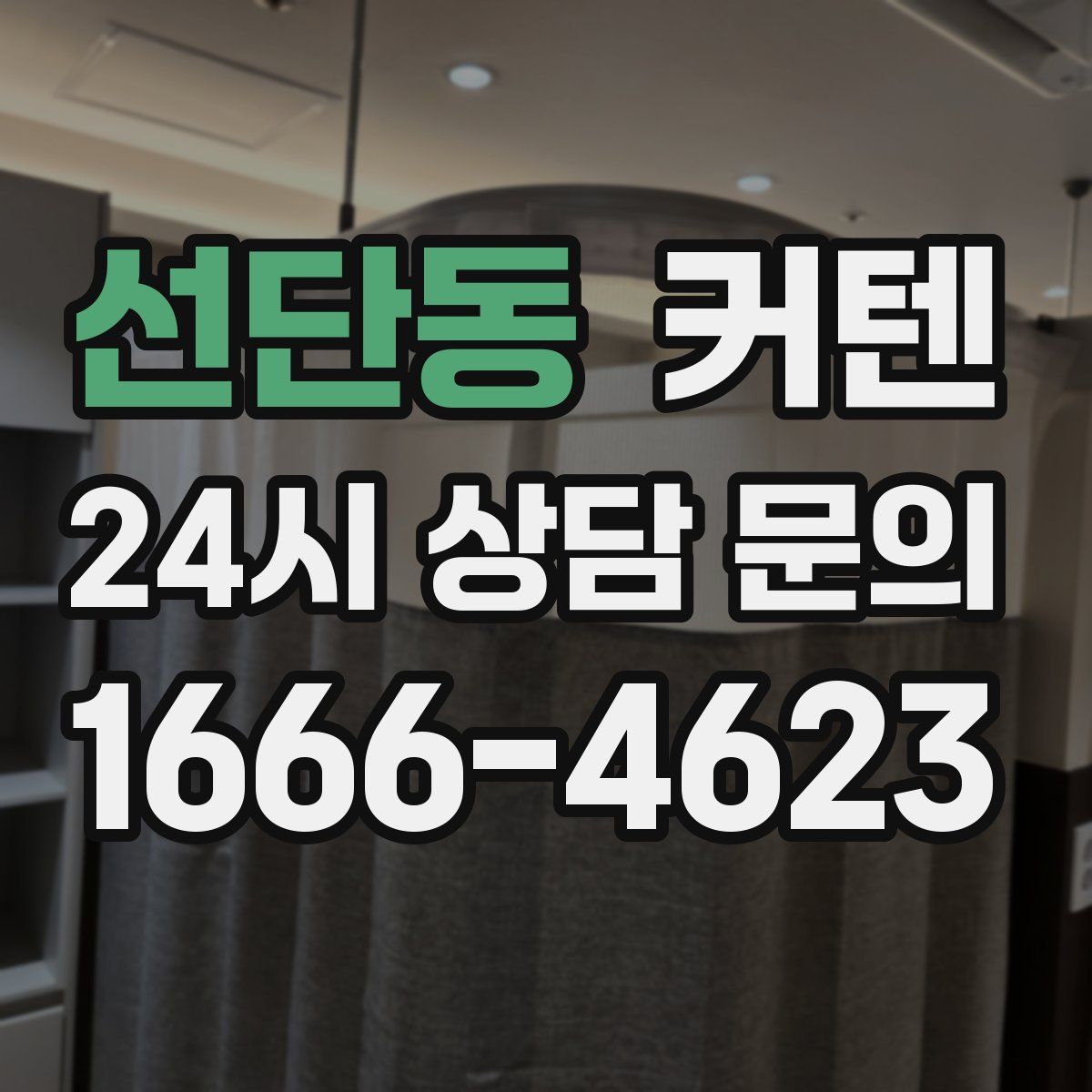 선단동 커텐
