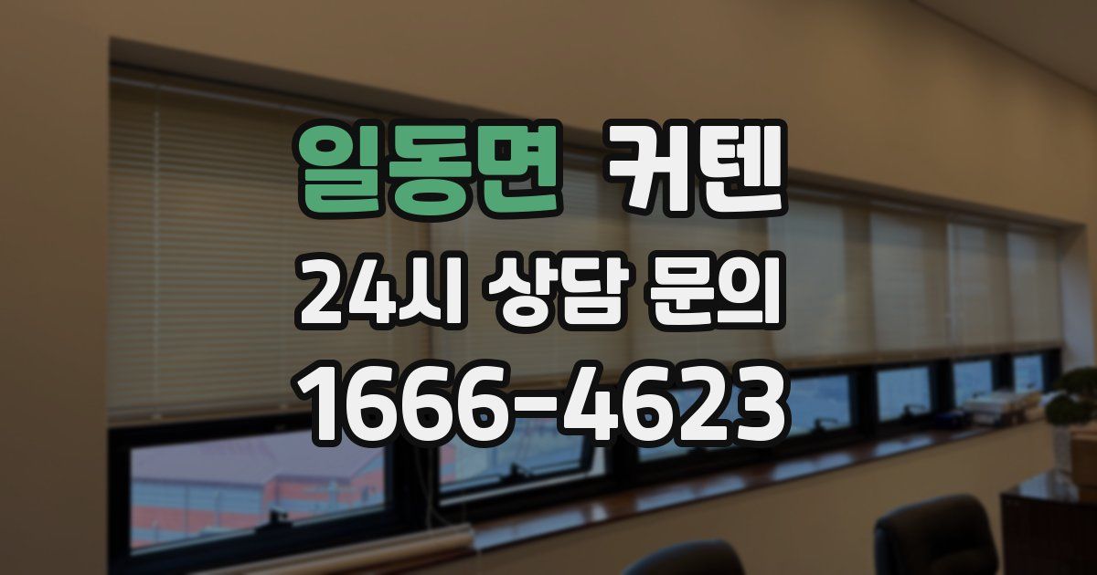 일동면 커텐