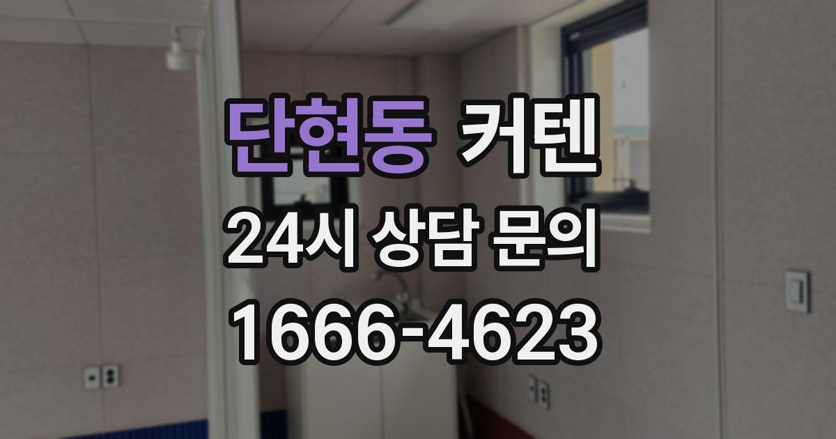 단현동 커텐