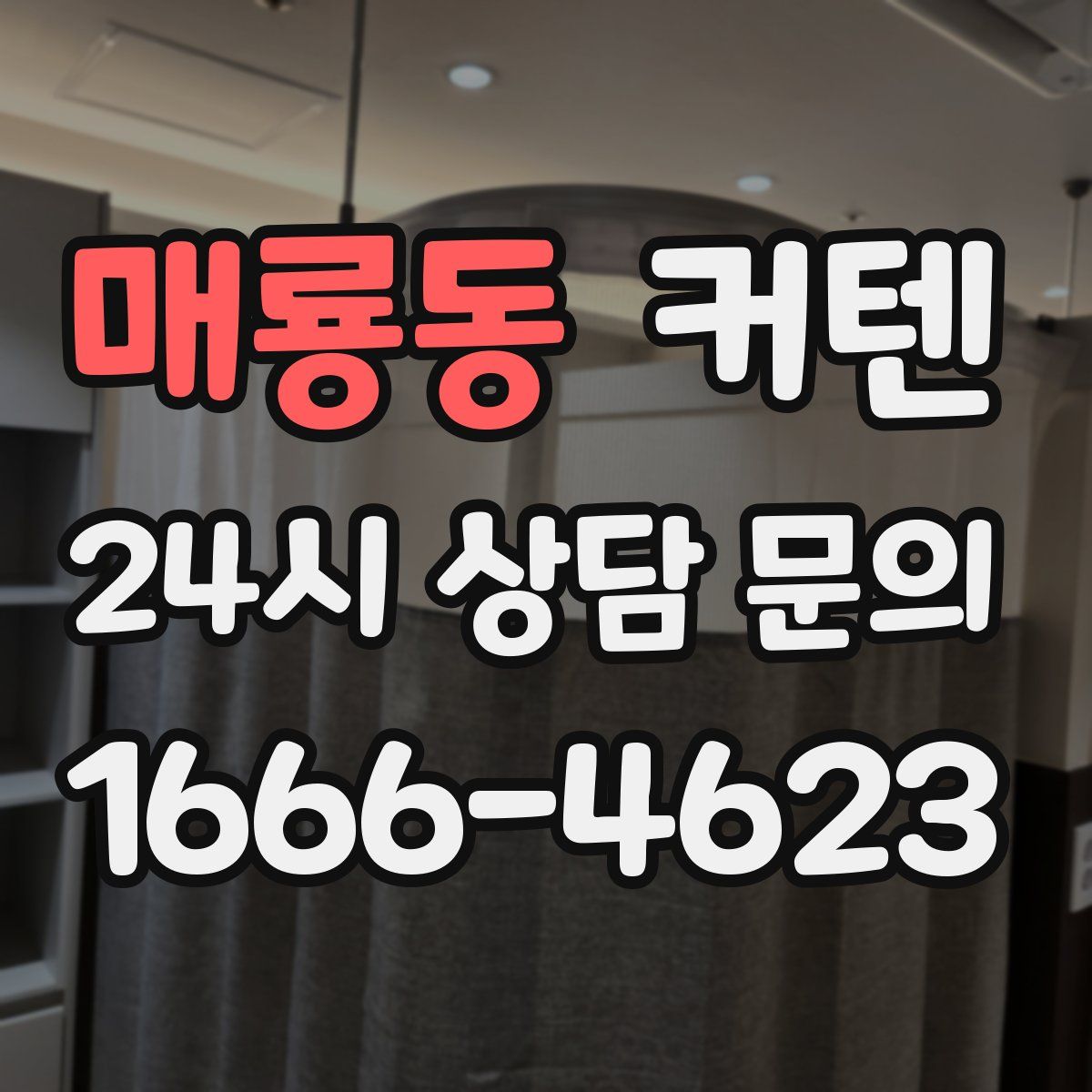 매룡동 커텐