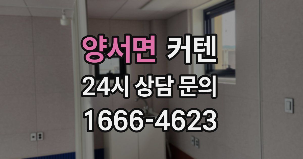 양서면 커텐