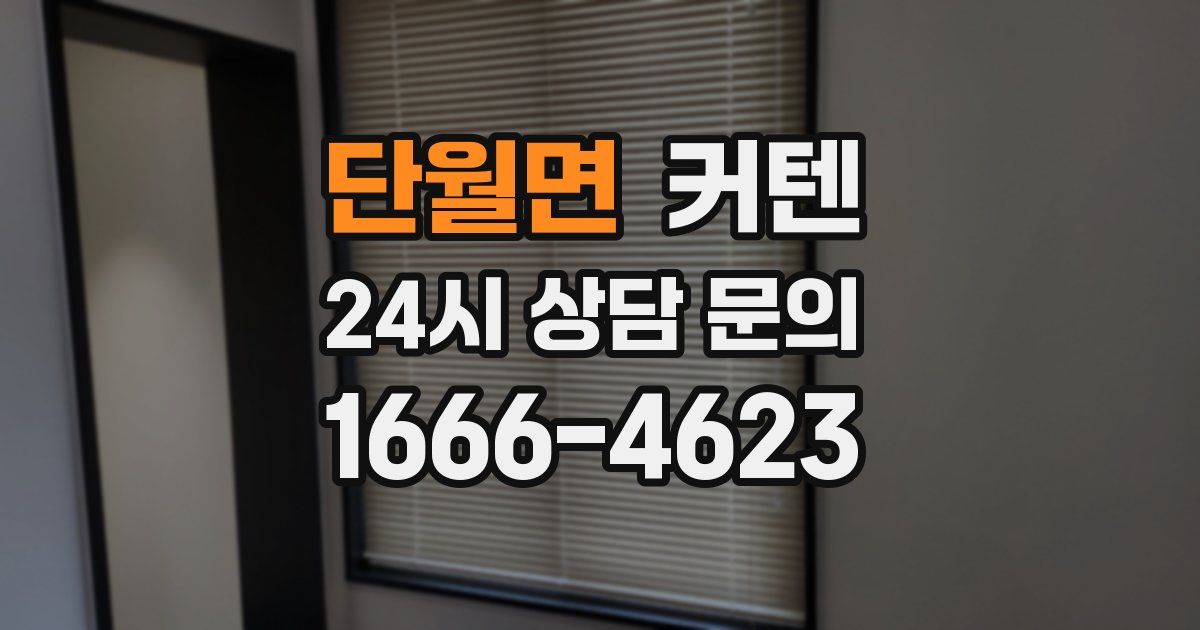 단월면 커텐