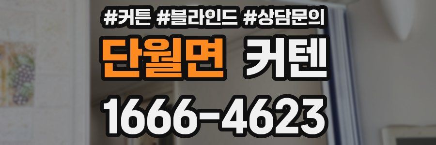단월면 커텐