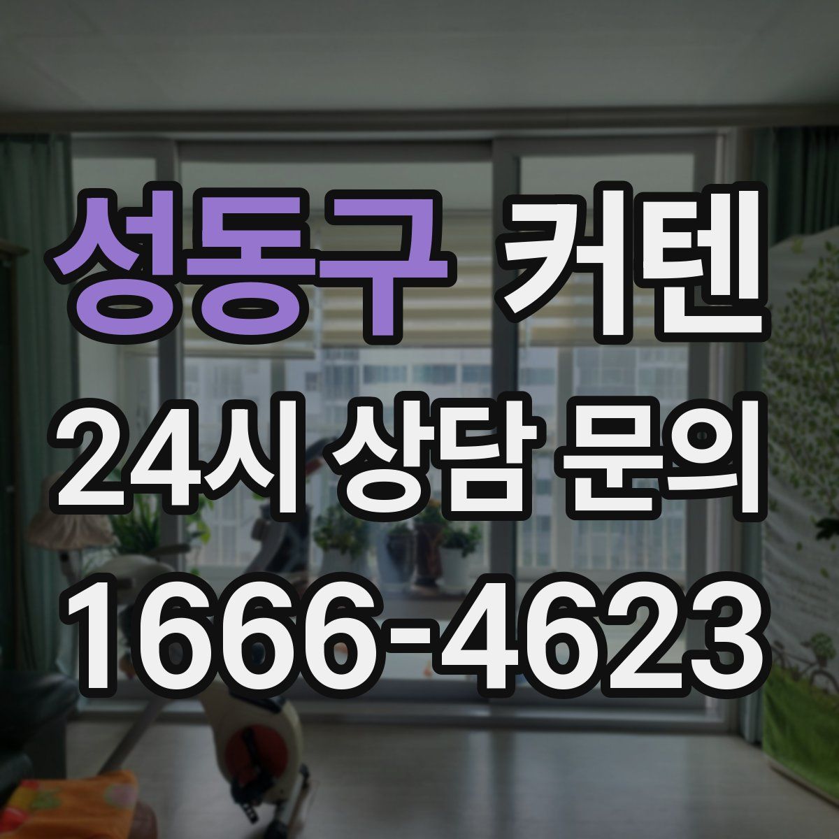 성동구 커텐