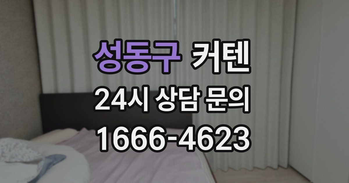 성동구 커텐