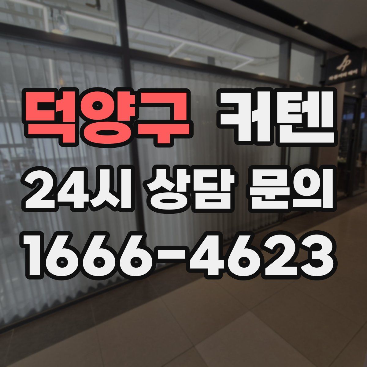 덕양구 커텐