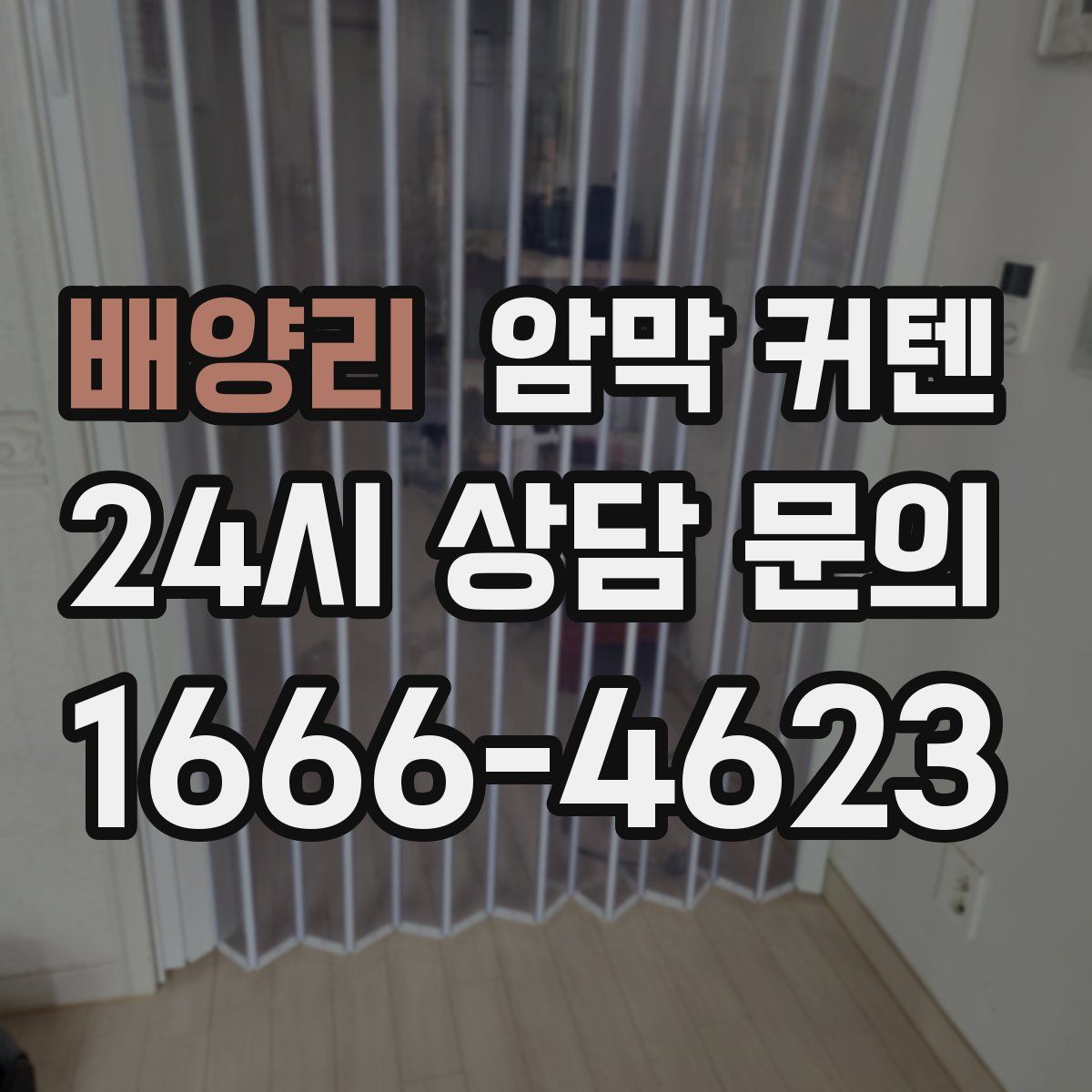 배양리 암막 커텐
