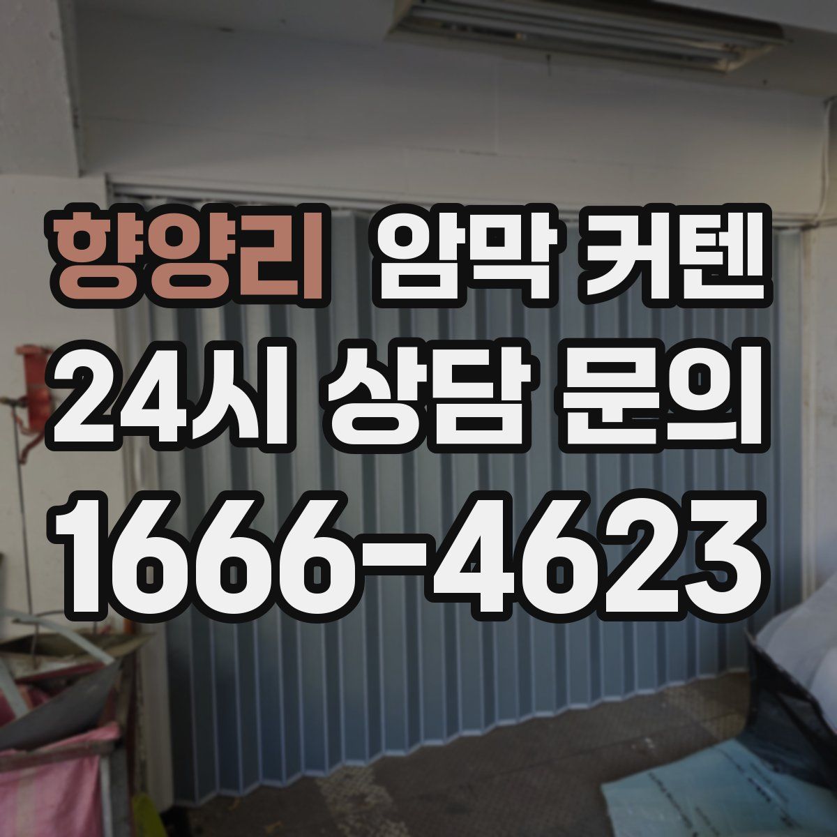 향양리 암막 커텐