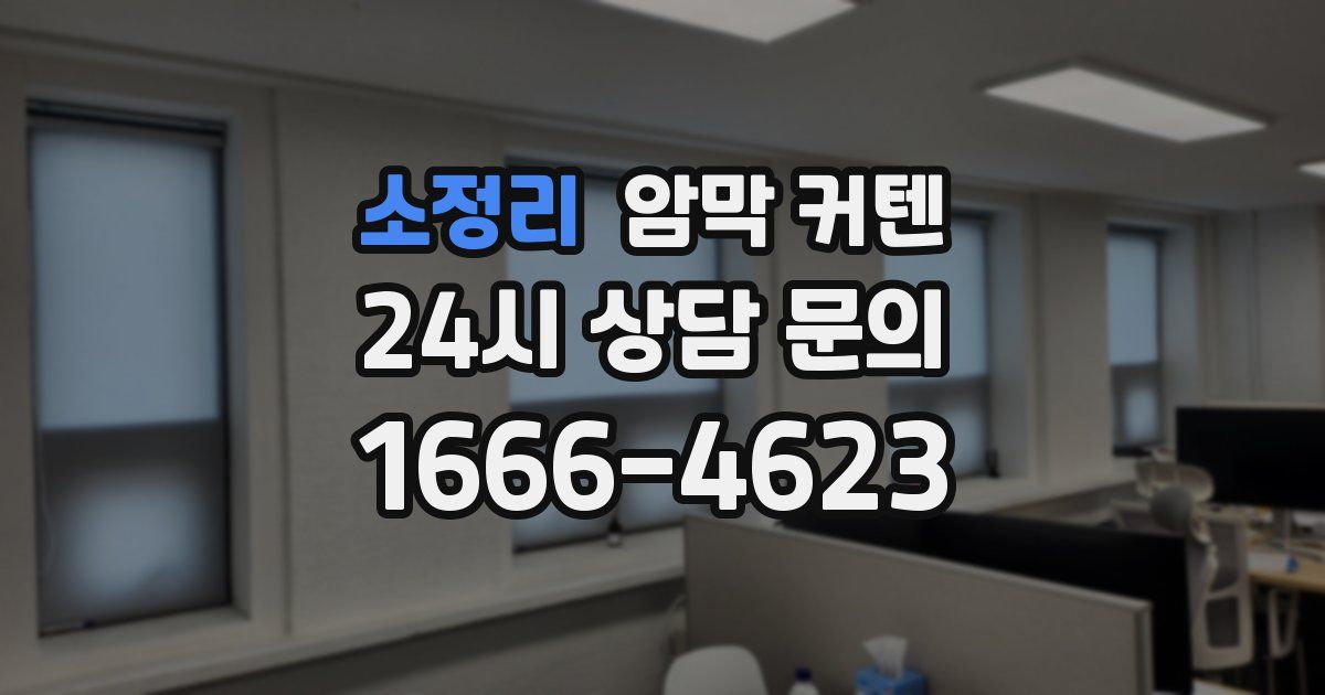 소정리 암막 커텐