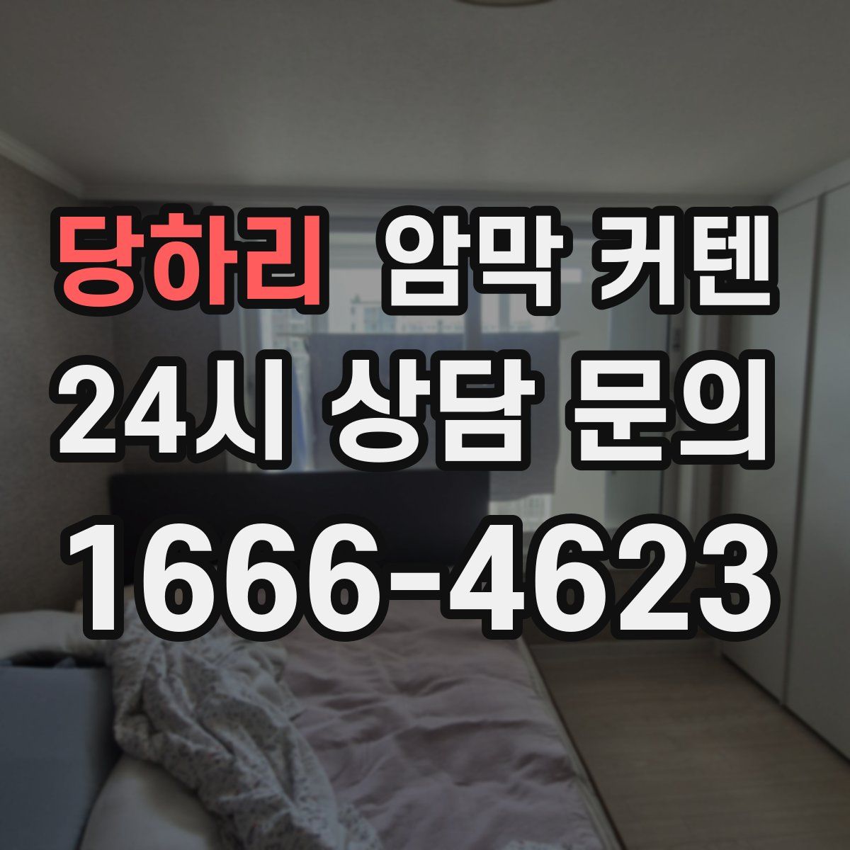 당하리 암막 커텐