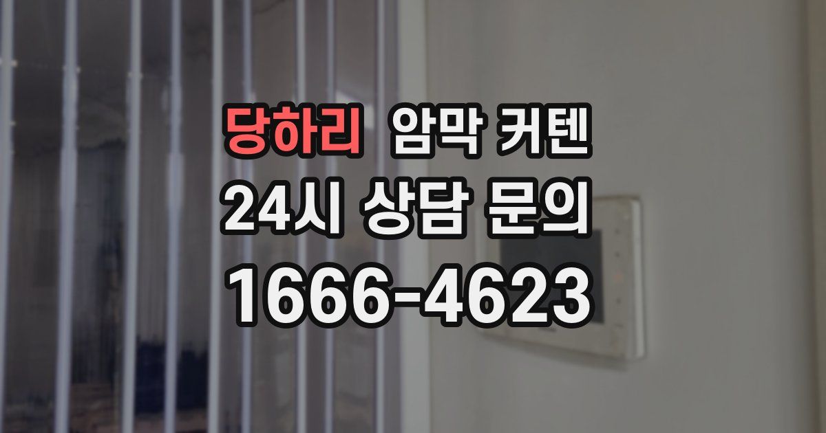 당하리 암막 커텐
