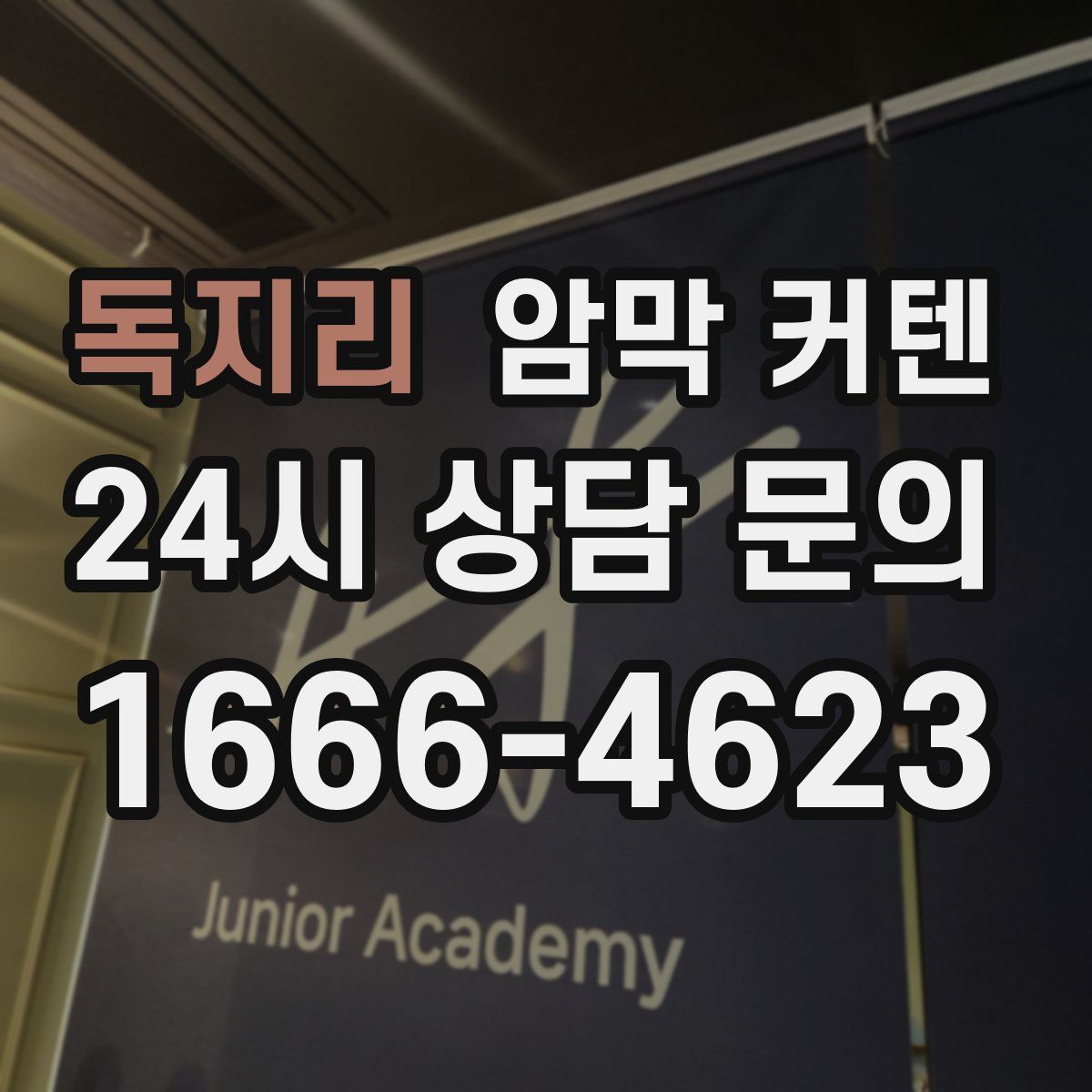독지리 암막 커텐