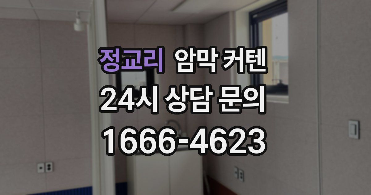 정교리 암막 커텐