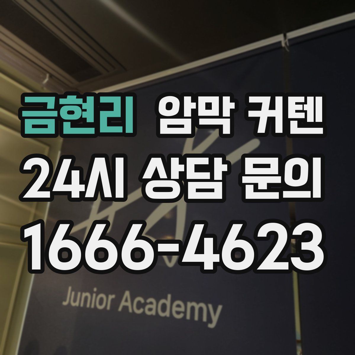 금현리 암막 커텐