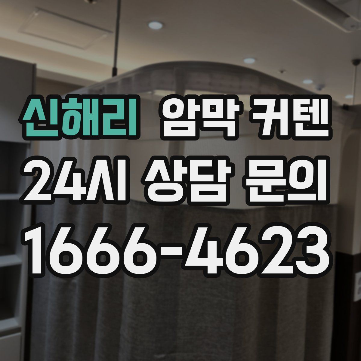 신해리 암막 커텐