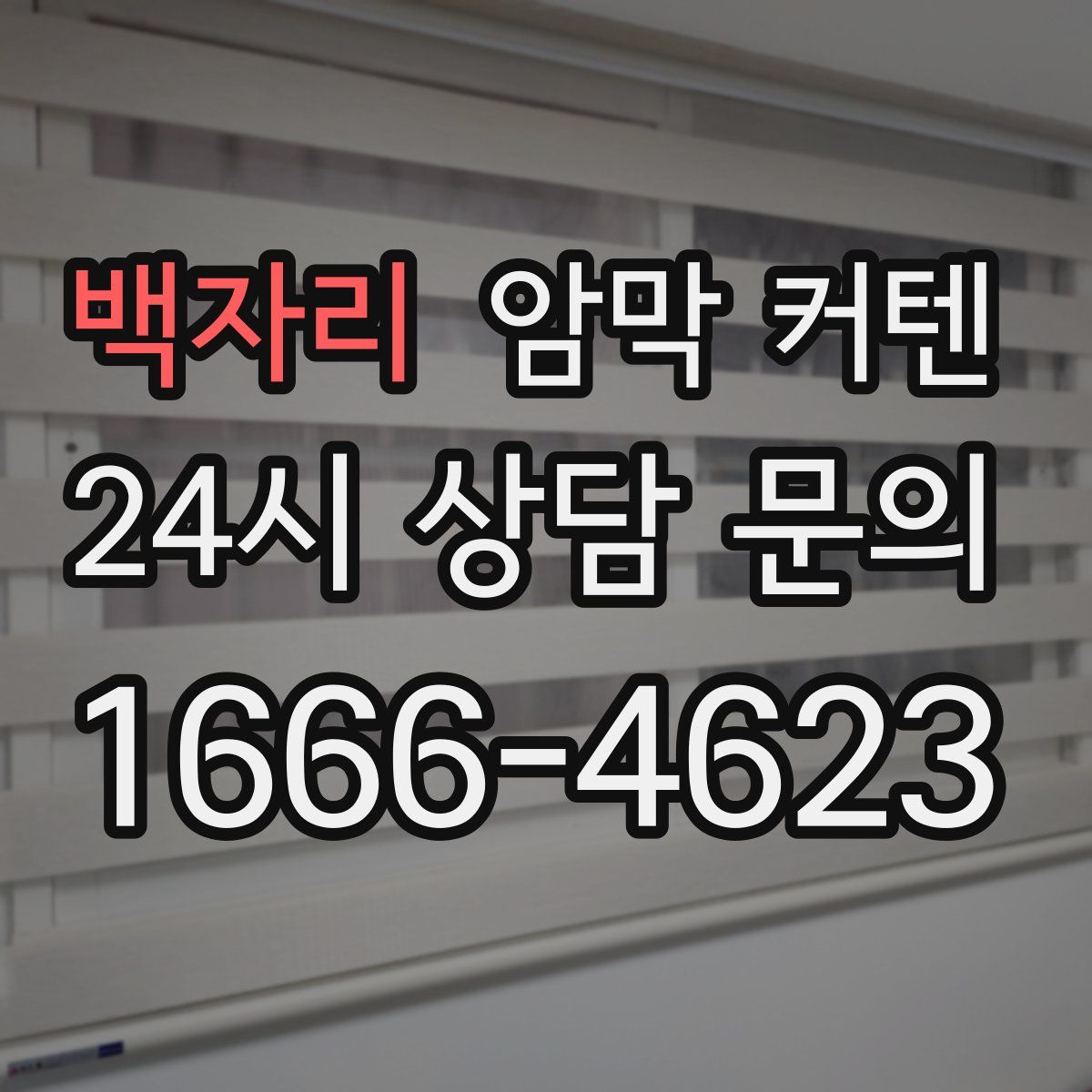 백자리 암막 커텐