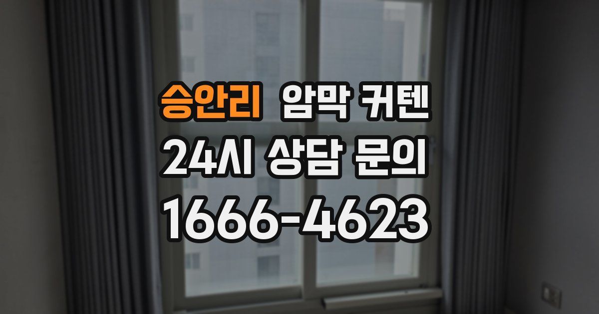 승안리 암막 커텐