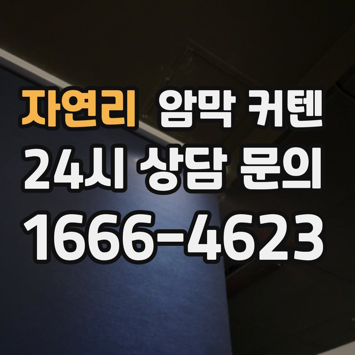 자연리 암막 커텐