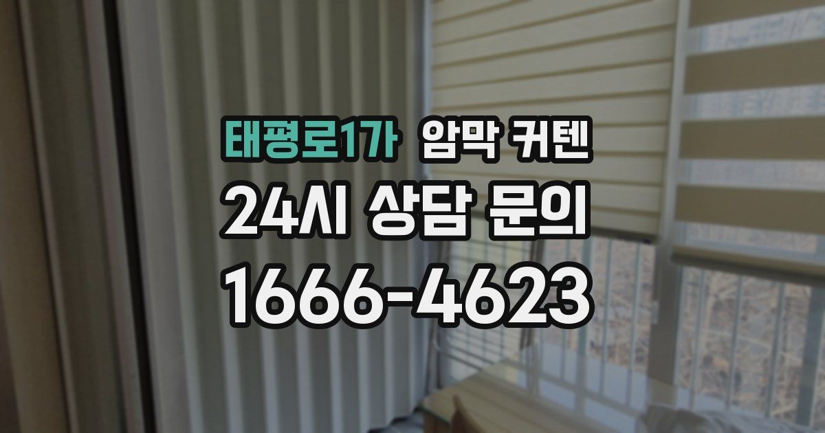 태평로1가 암막 커텐
