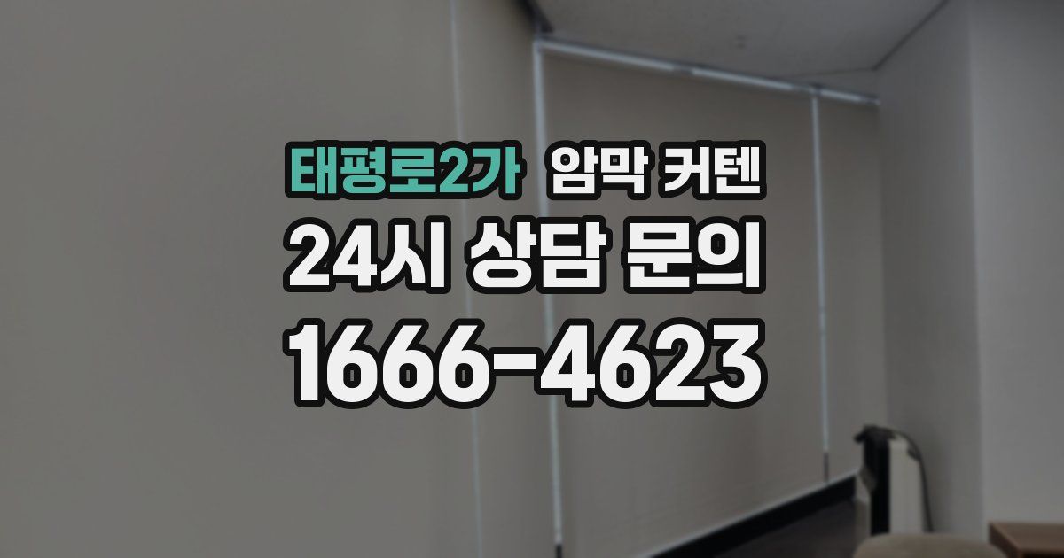 태평로2가 암막 커텐