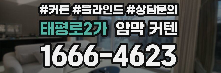 태평로2가 암막 커텐