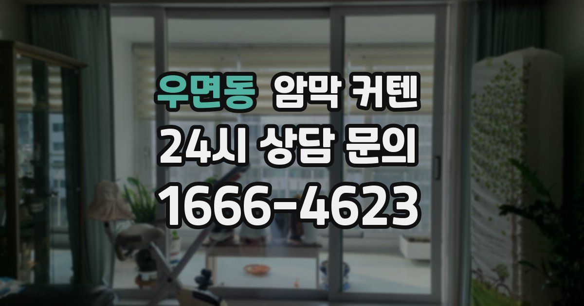 우면동 암막 커텐