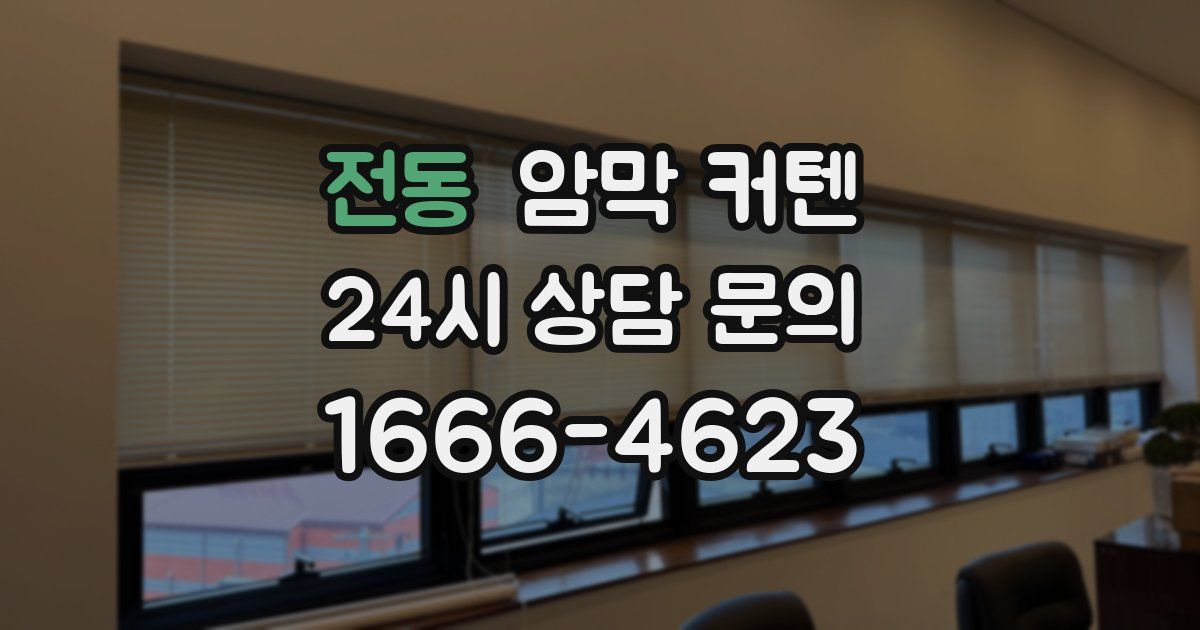 전동 암막 커텐