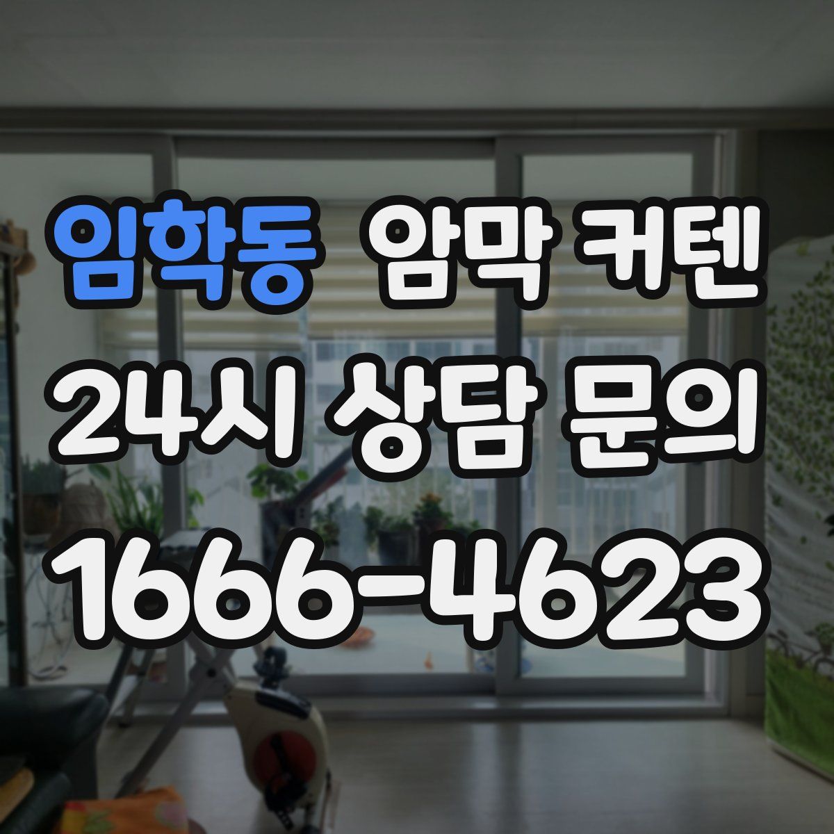 임학동 암막 커텐