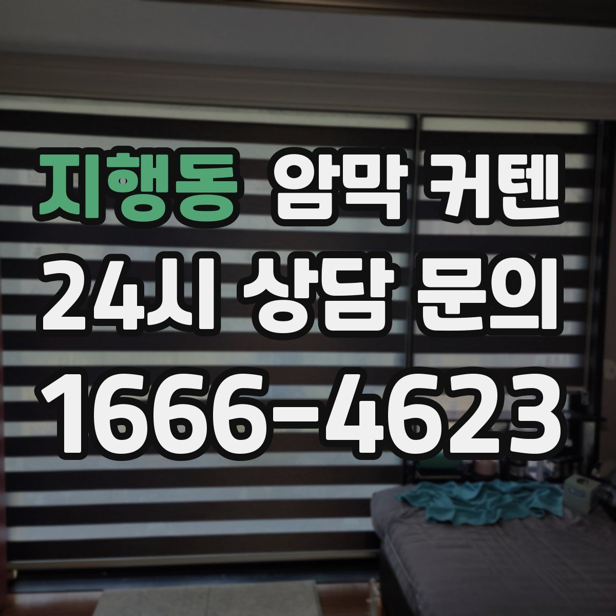 지행동 암막 커텐