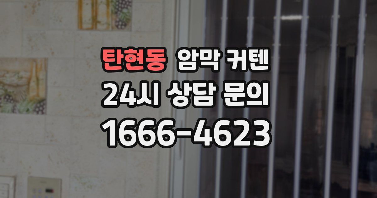 탄현동 암막 커텐