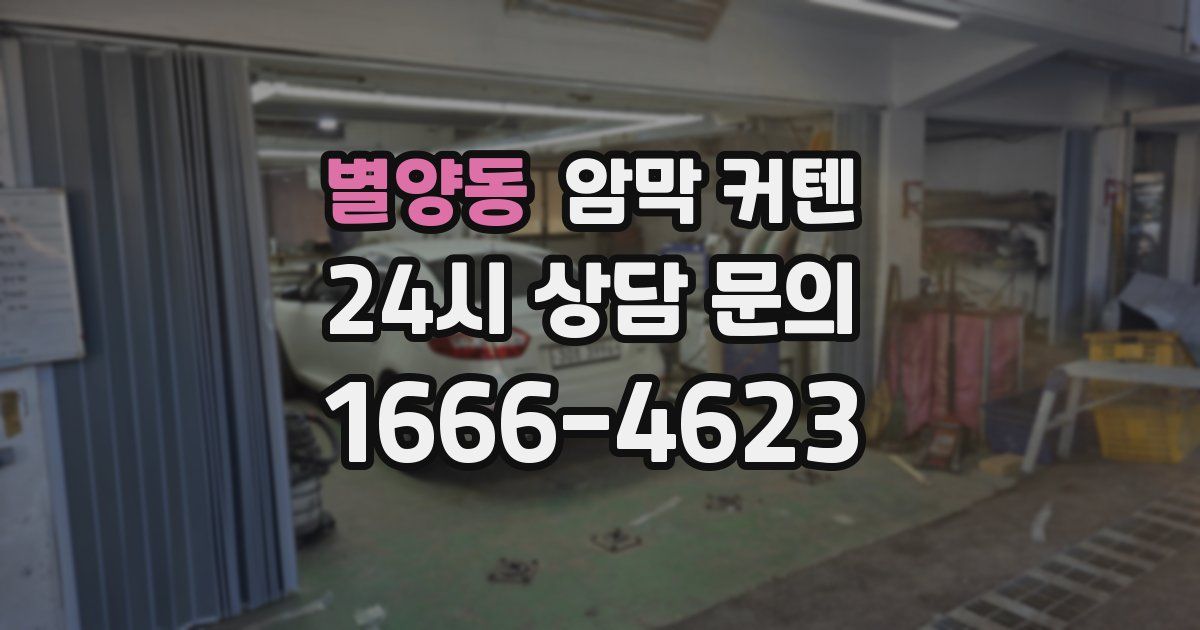 별양동 암막 커텐