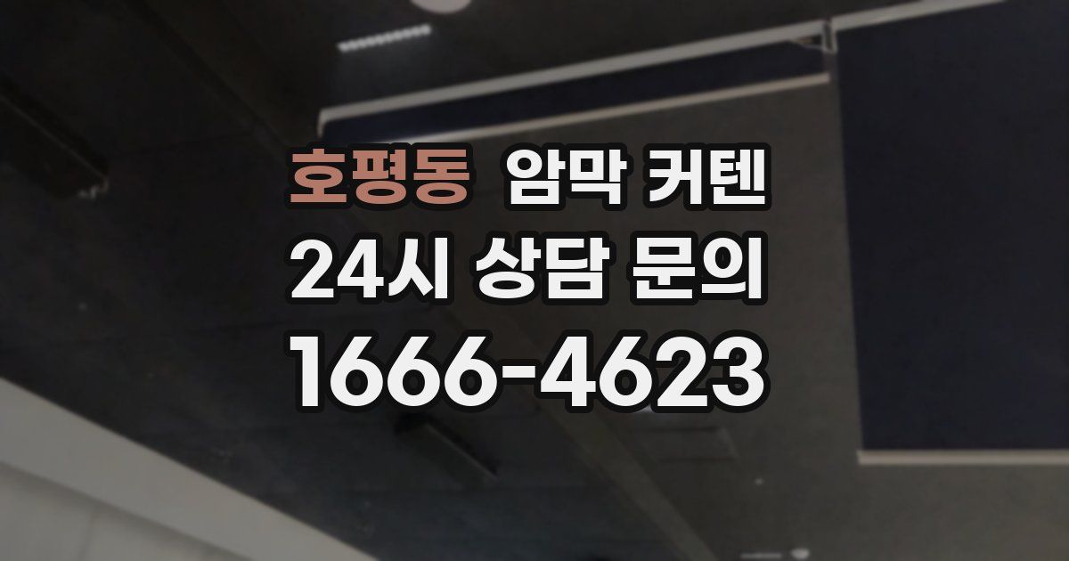 호평동 암막 커텐