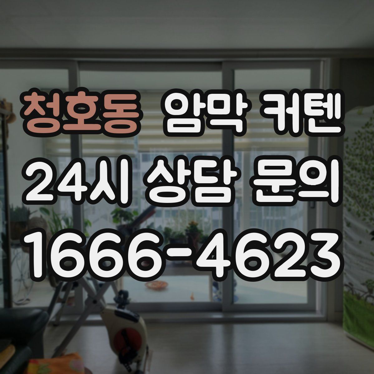 청호동 암막 커텐