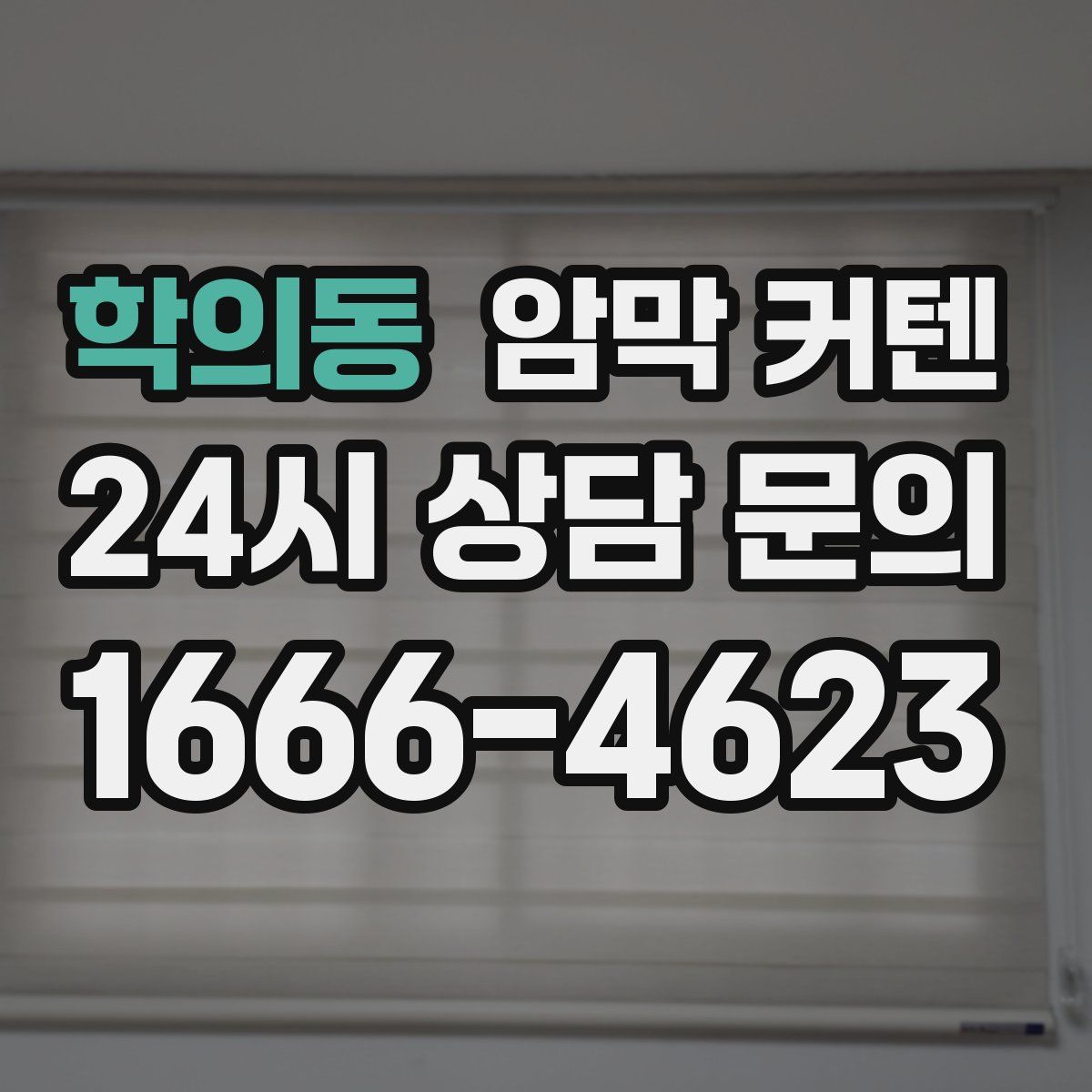 학의동 암막 커텐
