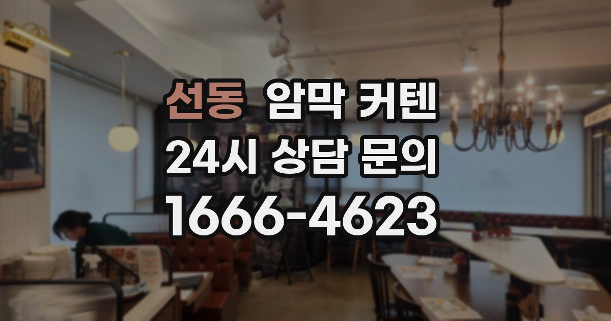 선동 암막 커텐