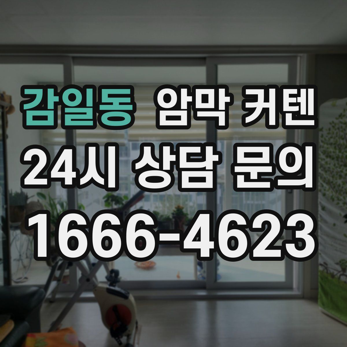 감일동 암막 커텐
