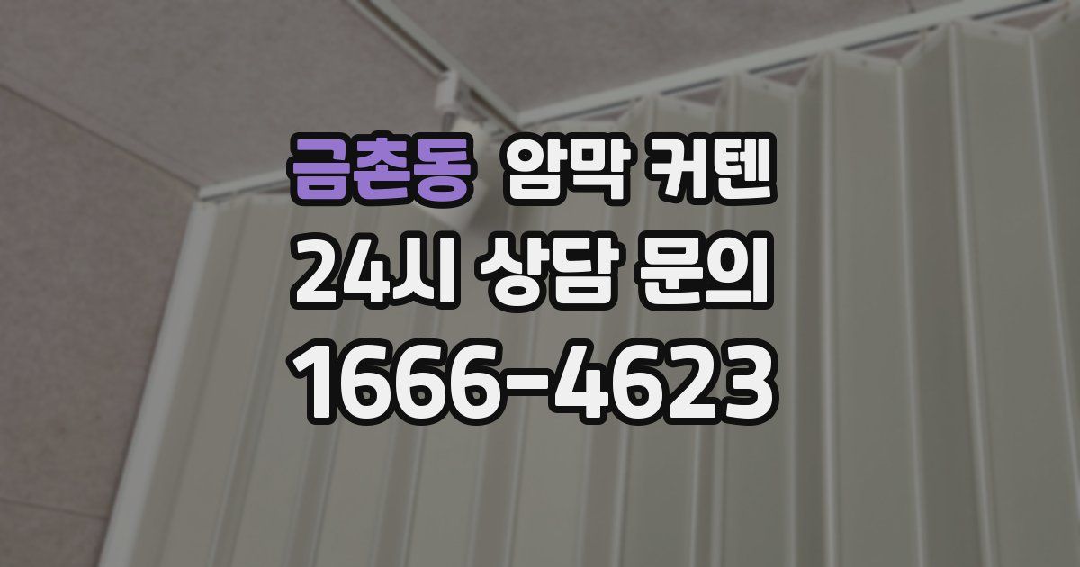 금촌동 암막 커텐