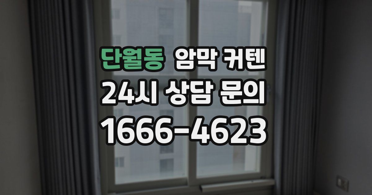 단월동 암막 커텐