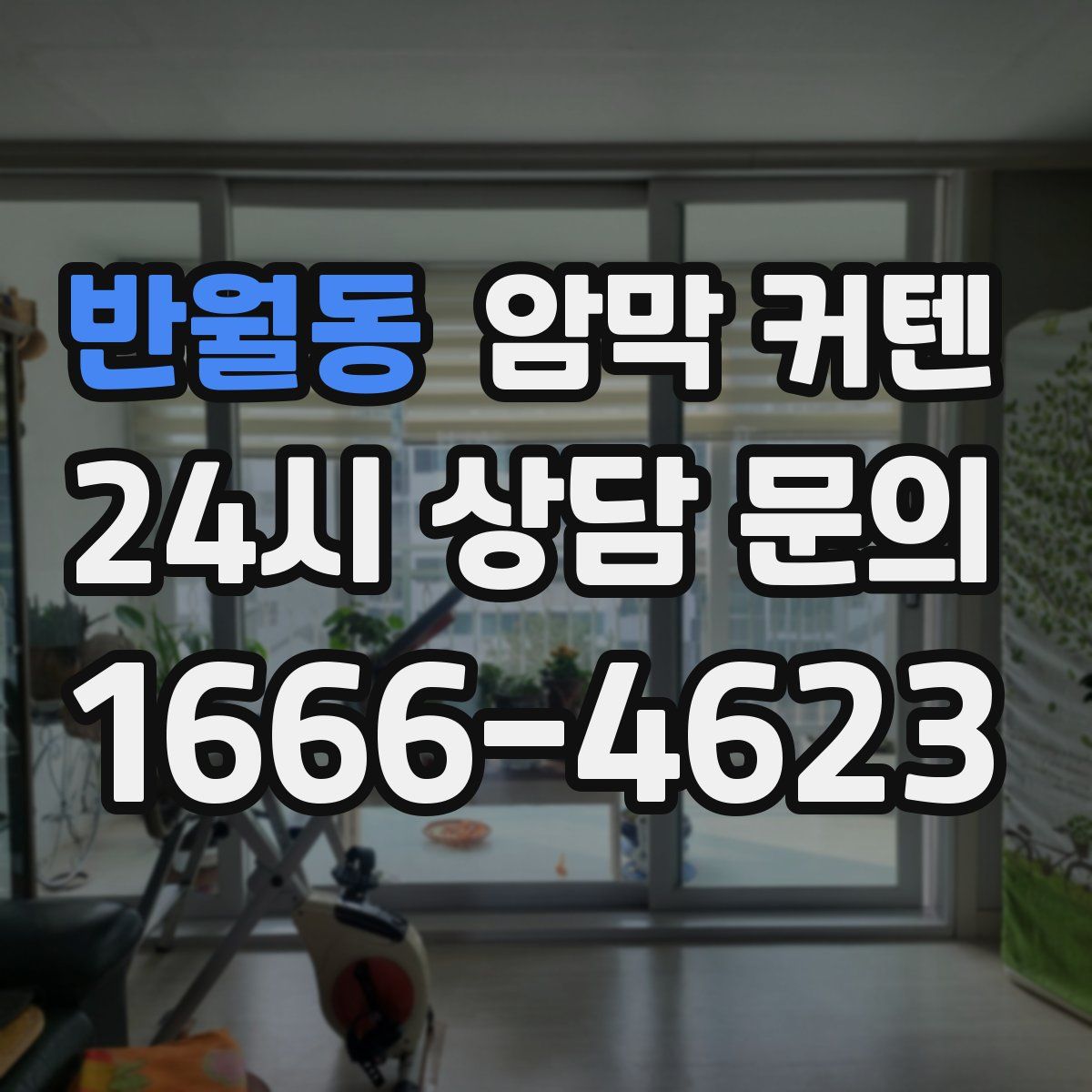 반월동 암막 커텐
