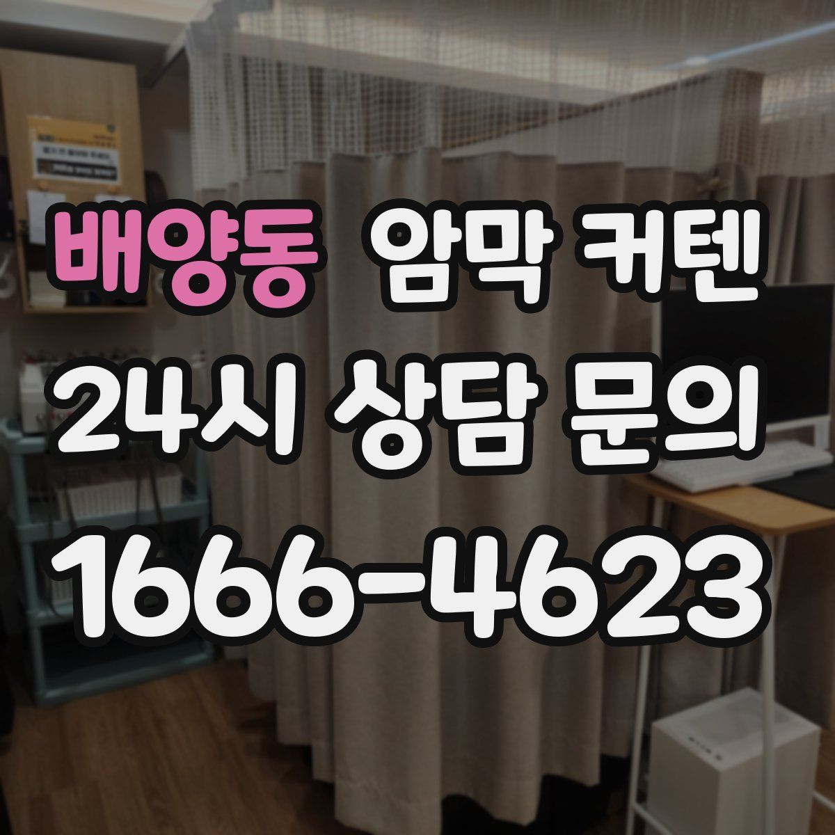 배양동 암막 커텐