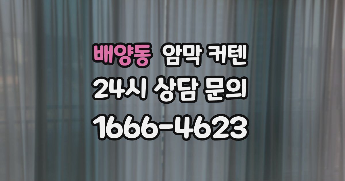 배양동 암막 커텐