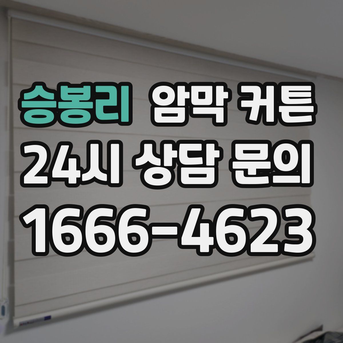 승봉리 암막 커튼