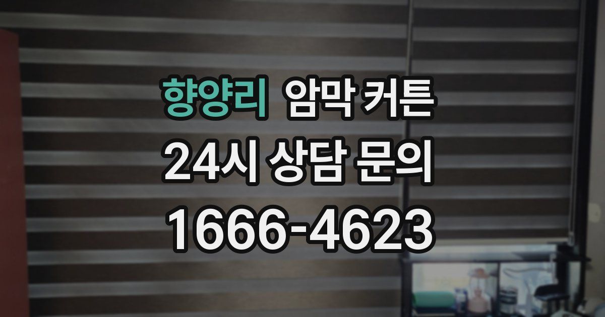 향양리 암막 커튼