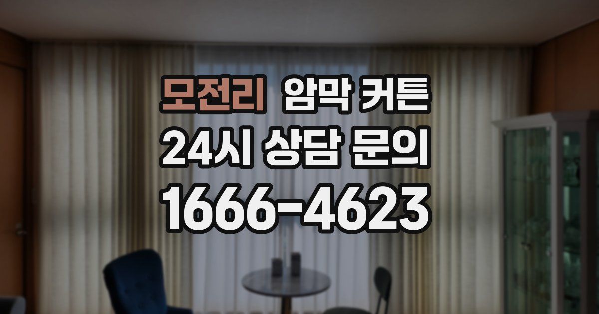 모전리 암막 커튼