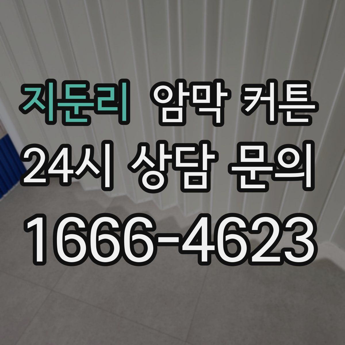 지둔리 암막 커튼