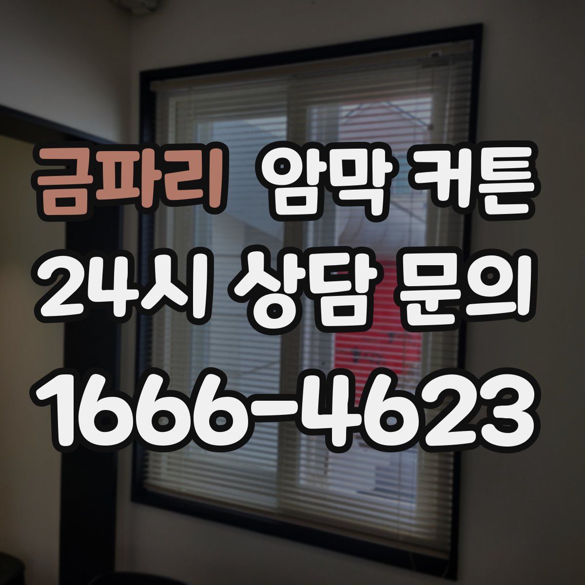 금파리 암막 커튼