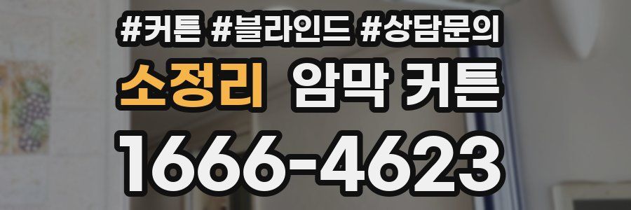 소정리 암막 커튼