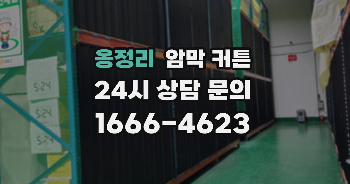 옹정리 암막 커튼