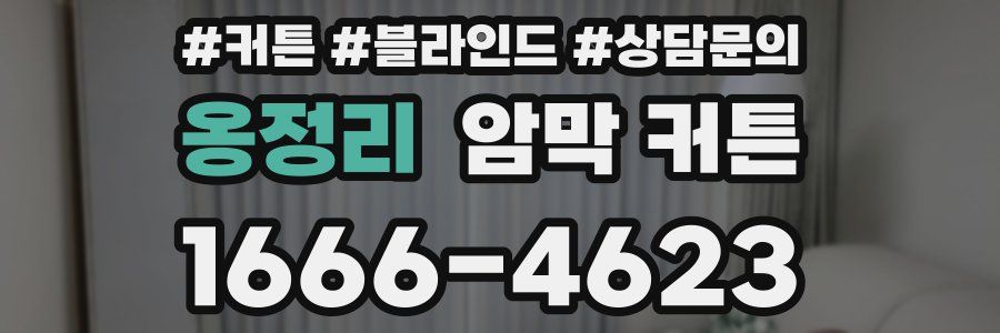 옹정리 암막 커튼
